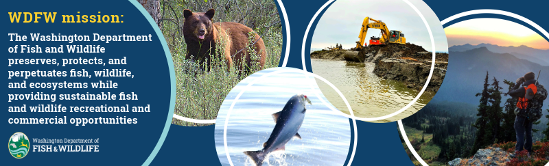 WDFW recruitment banner